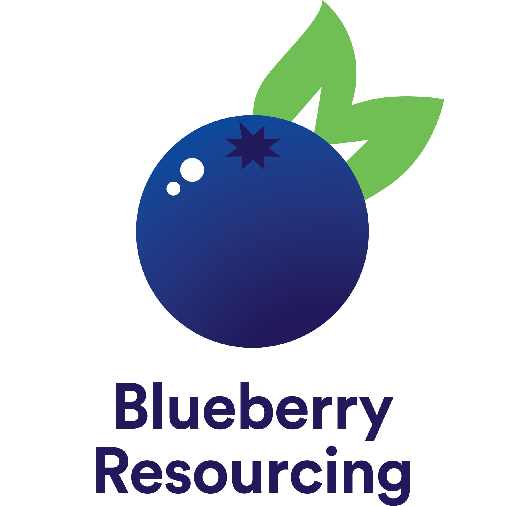 Blueberry Technical Resourcing Limited